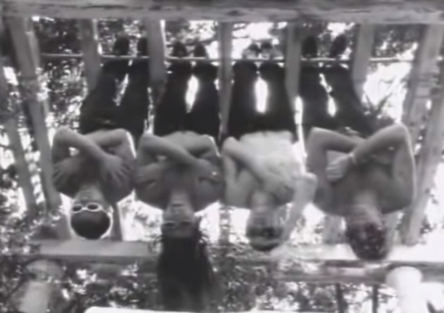 The Red Hot Chili Peppers hanging upside down for a photoshoot